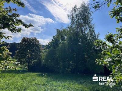 Grundstück kaufen in 4202 Althellmonsödt (Bild 4)