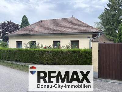 Grundstück kaufen in 3484 Grafenwörth (Bild 2)