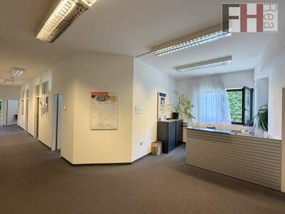 Gewerbeobjekt mieten in 3002 Purkersdorf (Bild 5)