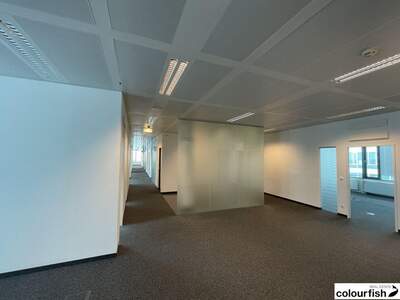 Gewerbeobjekt mieten in 1110 Wien (Bild 3)
