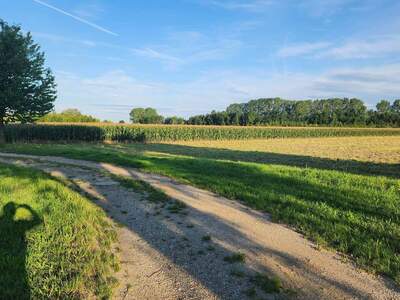 Gewerbeobjekt kaufen in 3441 Freundorf