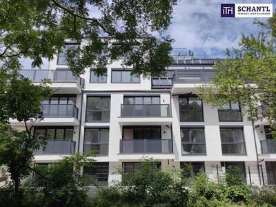 Terrassenwohnung kaufen in 1210 Wien (Bild 3)