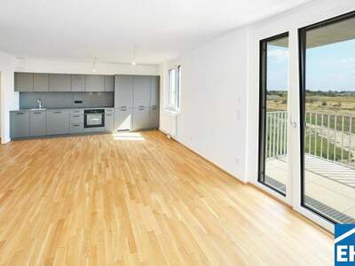 Terrassenwohnung mieten in 1220 Wien (Bild 1)