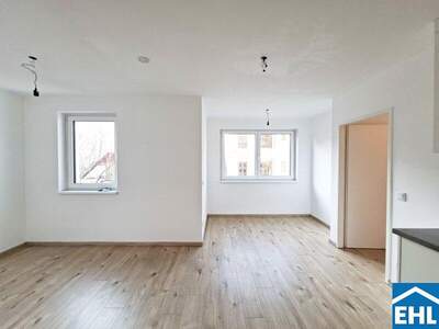 Terrassenwohnung mieten in 1100 Wien (Bild 1)