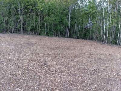 Grundstück kaufen in 7342 Kaisersdorf (Bild 3)