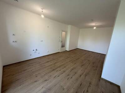 Terrassenwohnung kaufen in 2442 Unterwaltersdorf (Bild 5)