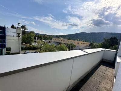 Gewerbeobjekt mieten in 8054 Graz (Bild 4)
