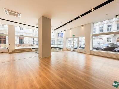 Gewerbeobjekt mieten in 1010 Wien
