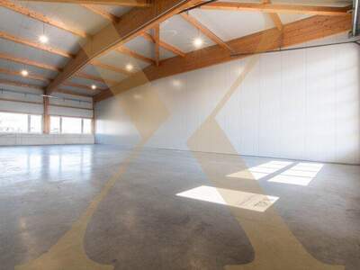 Halle / Lager / Produktion mieten in 4320 Perg