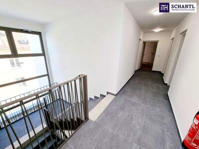 Wohnung kaufen in 1230 Wien (Bild 4)