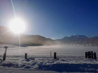 Mietwohnung provisionsfrei in 6395 Hochfilzen