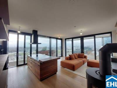 Terrassenwohnung mieten in 1020 Wien (Bild 2)