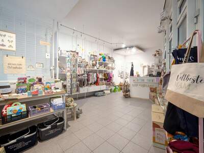 Gewerbeobjekt mieten in 4690 Schwanenstadt (Bild 2)