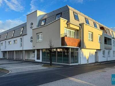 Wohnung mieten in 2700 Wiener Neustadt