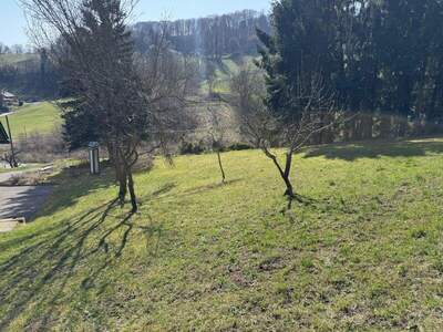 Bauernhaus mieten in 8472 Spielfeld (Bild 5)