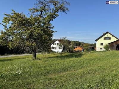 Anlageobjekt kaufen in 8074 Grambach
