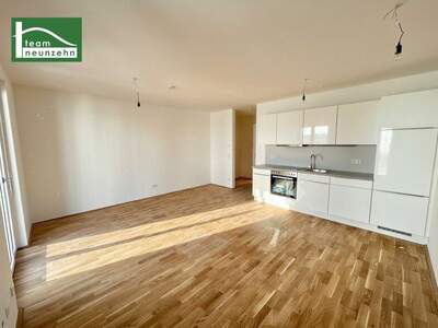 Terrassenwohnung mieten in 1160 Wien (Bild 1)