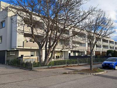 Apartment provisionsfrei mieten in 2540 Niederösterreich