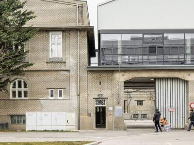 Gewerbeobjekt mieten in 1230 Wien (Bild 2)