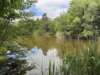 Haus kaufen in 3751 Maigen