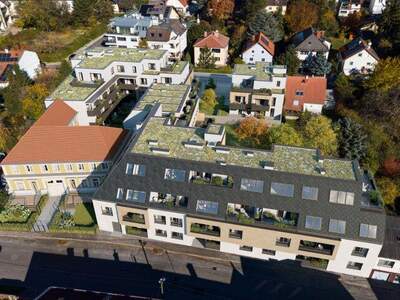 Terrassenwohnung kaufen in 1100 Wien (Bild 5)