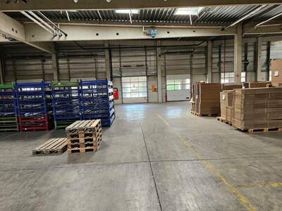 Gewerbeobjekt mieten in 8042 Graz (Bild 2)