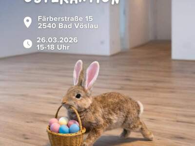 Anlageobjekt kaufen in 2540 Bad Vöslau