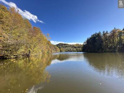 Haus mit Garten kaufen in 8051 Thal