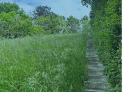 Grundstück kaufen in 3400 Weidling