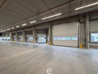 Gewerbeobjekt mieten in 4470 Enns (Bild 3)