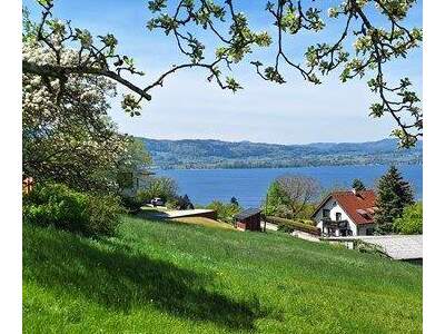 Grundstück kaufen in 4852 Weyregg (Bild 3)