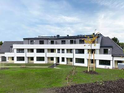 Wohnung mieten in 2224 Obersulz