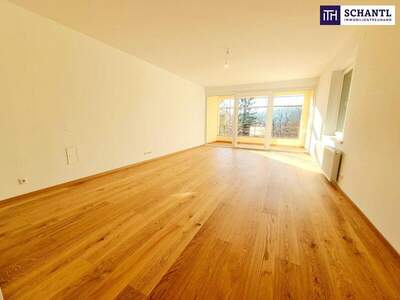 Terrassenwohnung kaufen in 1190 Wien (Bild 4)