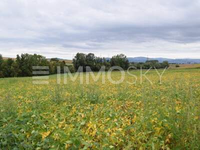 Grundstück kaufen in 4030 Linz (Bild 3)