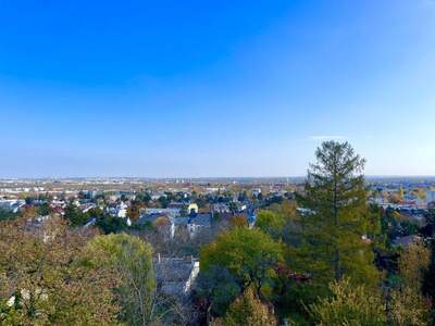 Wohnung kaufen in 2340 Mödling