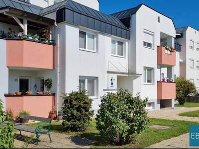 Wohnung mieten in 7132 Frauenkirchen