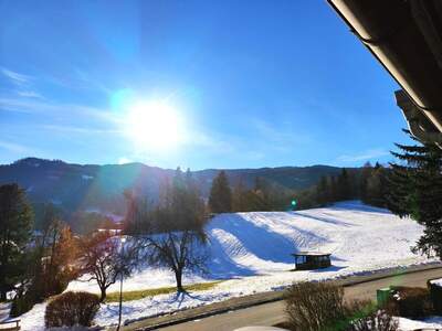 Haus kaufen in 8850 Murau