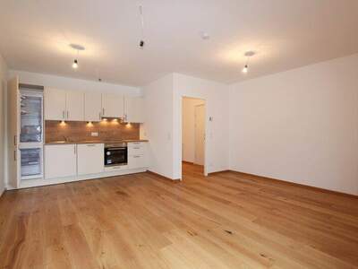 Terrassenwohnung mieten in 1180 Wien (Bild 2)