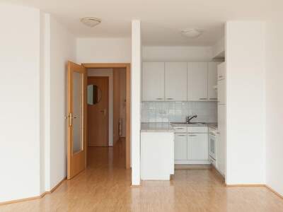 Wohnung mieten in 1130 Wien (Bild 3)