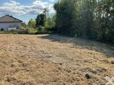 Grundstück kaufen in 8504 Preding (Bild 2)