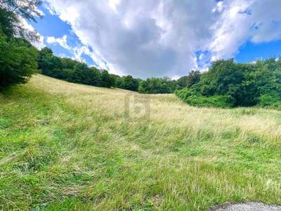 Grundstück kaufen in 3400 Klosterneuburg (Bild 1)