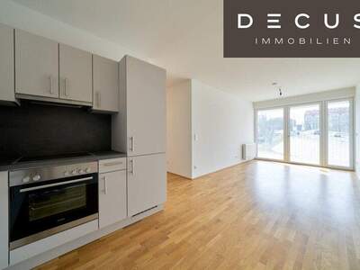 Terrassenwohnung mieten in 1230 Wien (Bild 3)