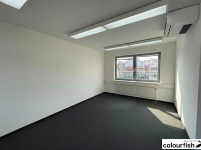 Gewerbeobjekt mieten in 1060 Wien (Bild 5)