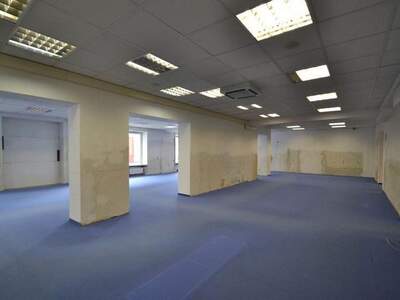 Gewerbeobjekt kaufen in 3250 Wieselburg (Bild 3)