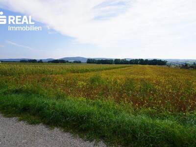 Grundstück kaufen in 3430 Frauenhofen (Bild 2)