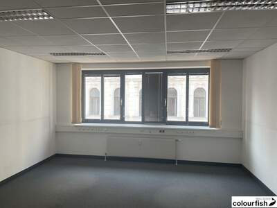 Gewerbeobjekt mieten in 1060 Wien (Bild 3)