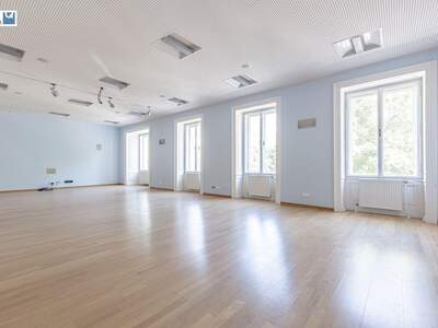 Gewerbeobjekt mieten in 1010 Wien (Bild 1)