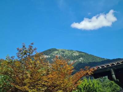 Grundstück kaufen in 5026 Salzburg (Bild 1)