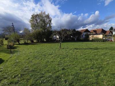 Grundstück kaufen in 4664 Oberweis