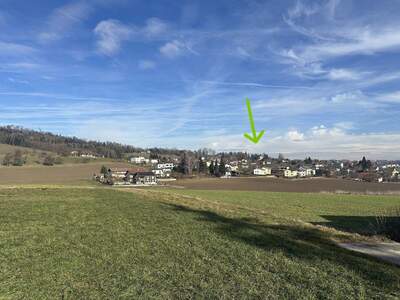 Grundstück kaufen in 4060 Bergham (Bild 2)